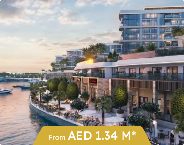 Dubai real estate investment services